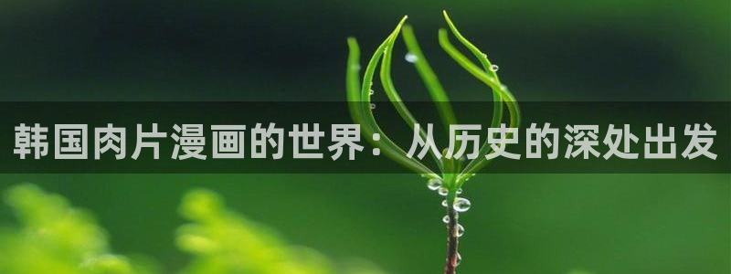 漫蛙平台