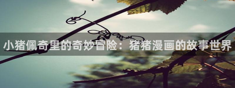 漫蛙2英文版