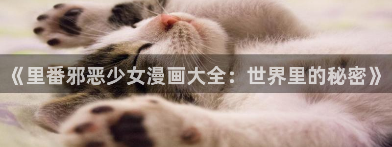 漫蛙官网入口网页版http