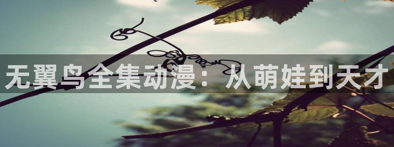 漫蛙怎么找