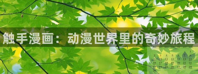 漫蛙如何下载