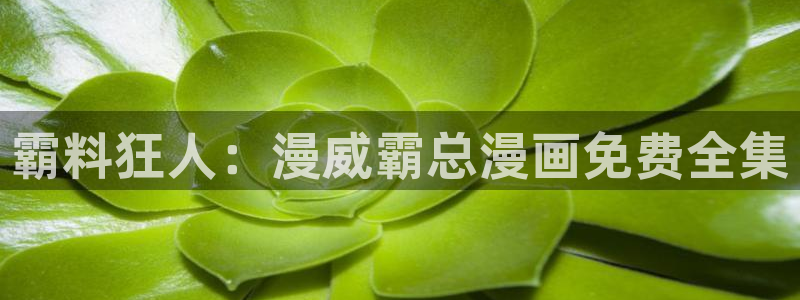 漫蛙1.1.8正版下载
