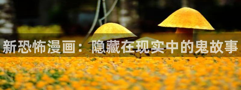 漫蛙无删减版怎么下载