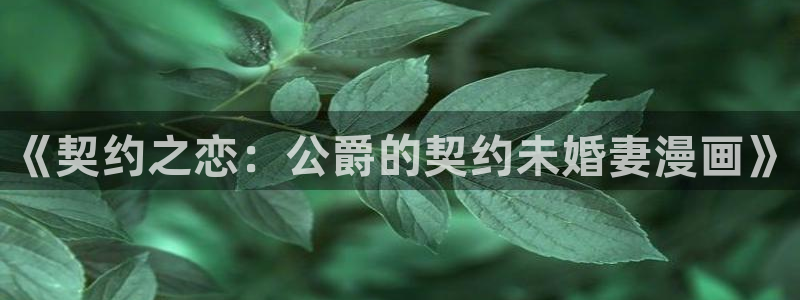漫蛙网页怎么登录