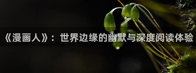 漫蛙官网网站