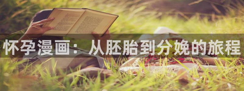 漫蛙免费入口