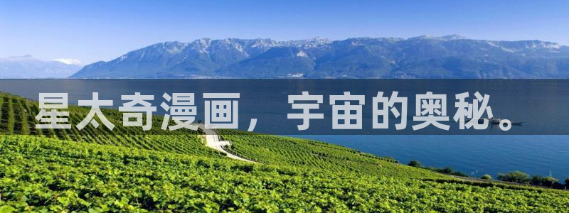 漫蛙网页版打开