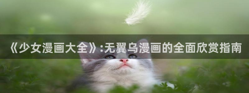 繁华漫蛙