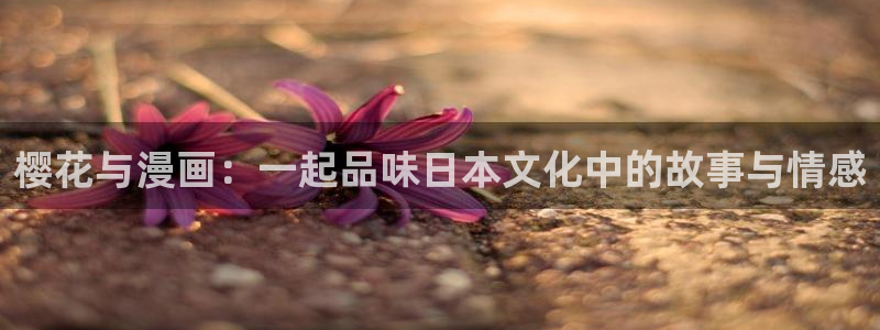 漫蛙官网下载安装
