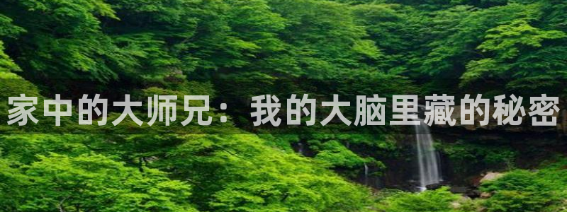 漫蛙漫画网链接