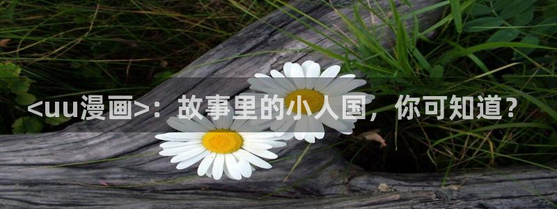 四维下载站漫蛙2