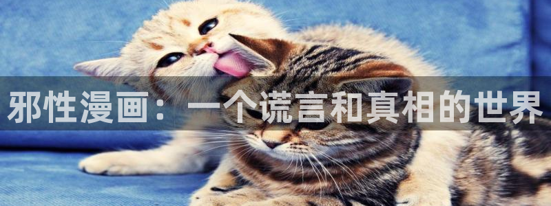 漫蛙网页版入口官方
