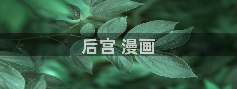 漫蛙manwa2台版正版下载