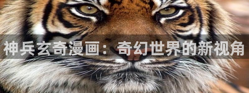 我同期的取向漫蛙漫画