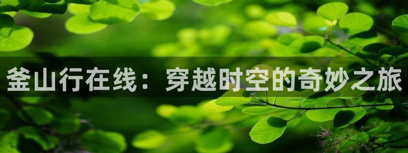 漫蛙2漫画免费下载