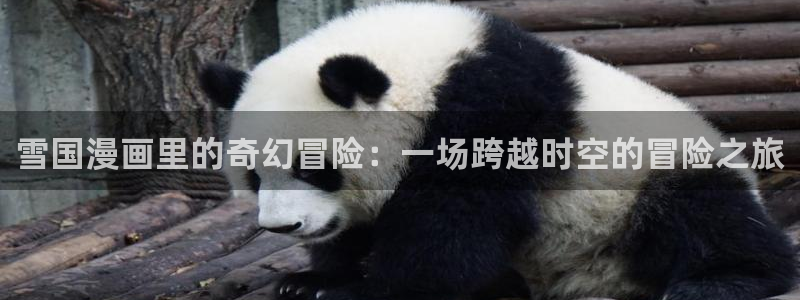 漫蛙美丽新世界