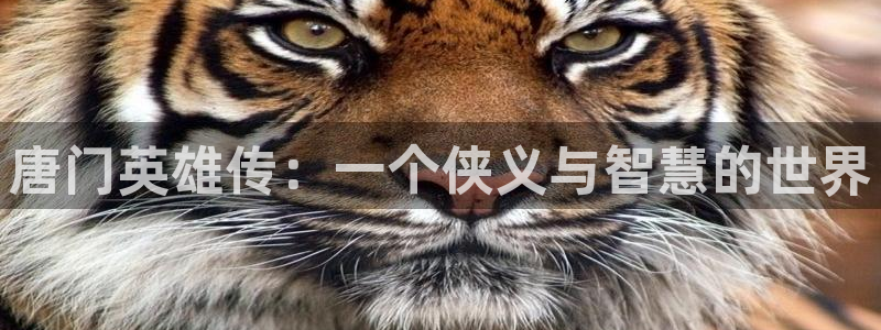漫蛙官网官方入口