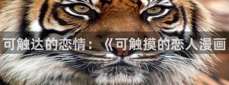 漫蛙漫画免费看哪里