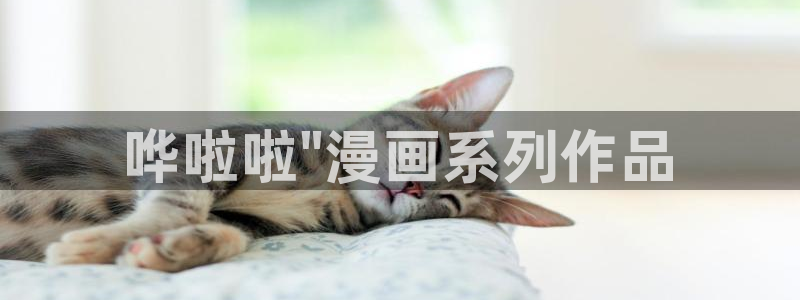 漫蛙漫画官方进入入口页面