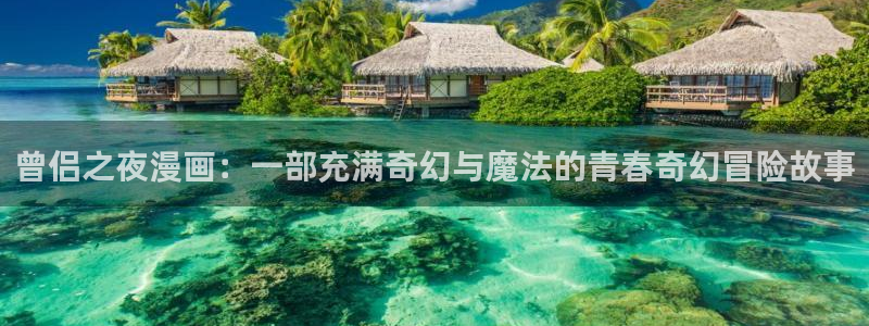 漫蛙2正版官网下载