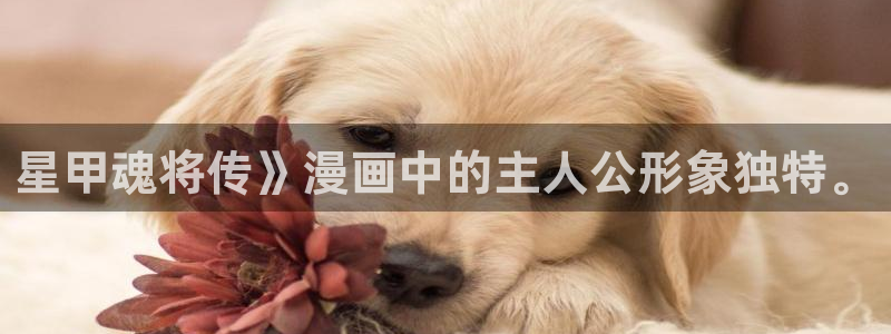 漫蛙台版网页入口