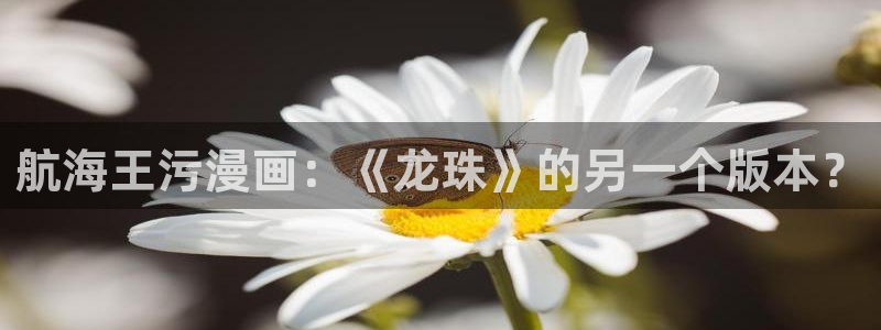漫蛙2正版app在哪下：航海王污漫画：《龙珠》的另一个版本？