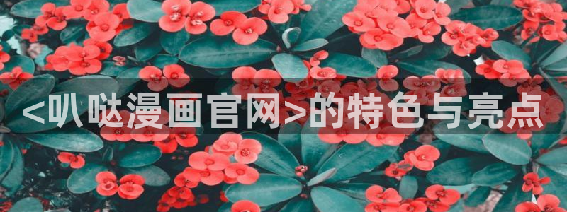 全知读者视角漫画漫蛙