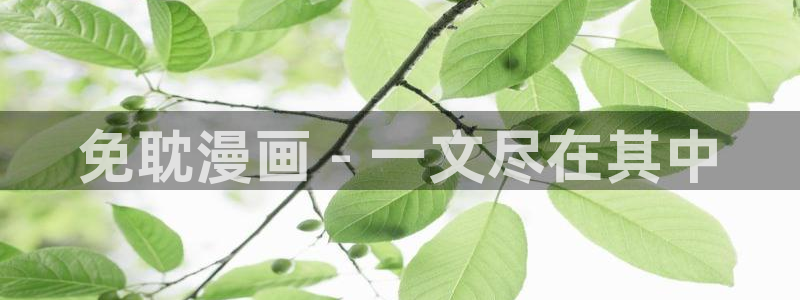 漫蛙manwa2下载苹果