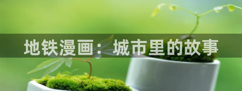 漫蛙密码