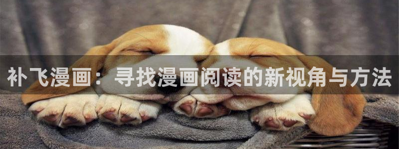 漫蛙能看