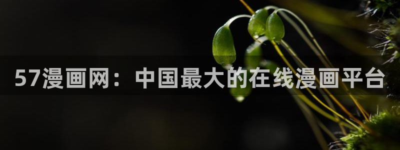 漫蛙manwa2正版下载.apk