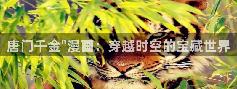 漫蛙免费使用