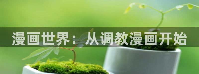 漫蛙官网版入口