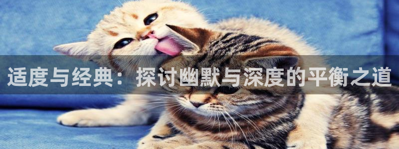 漫蛙漫画平台
