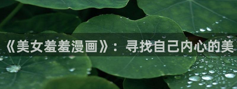 漫蛙安装包