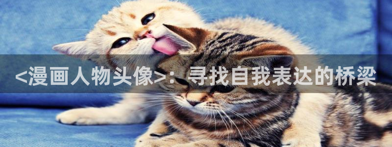漫蛙网页版入口免登录