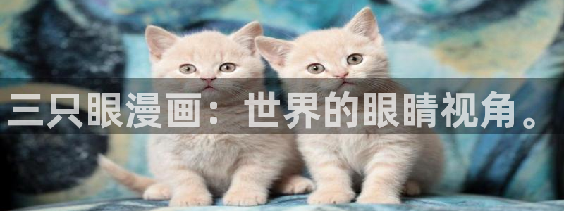 漫蛙manwa防走失站的特点