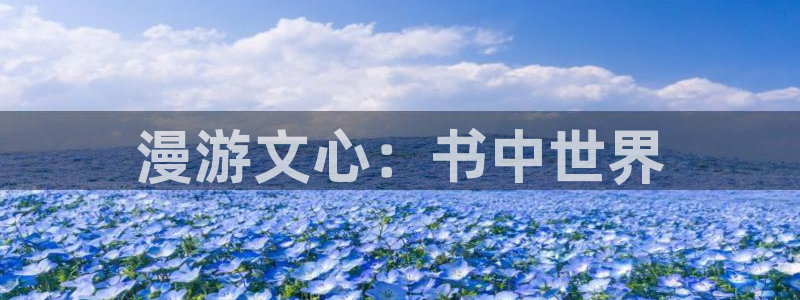 漫蛙2(台版)网页版