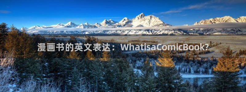 漫蛙如何下载漫画：漫画书的英文表达：WhatisaComicBook?