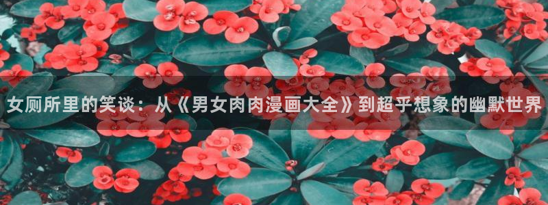漫蛙2manwa2苹果