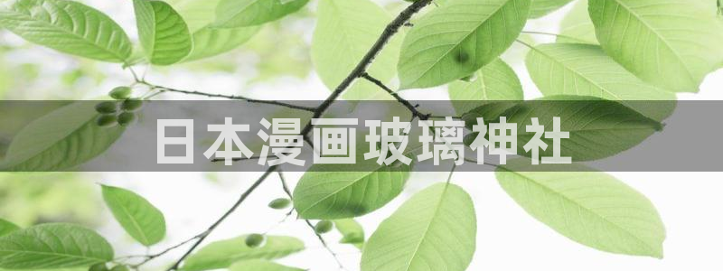 漫蛙漫画(网页入口)_漫蛙manwa